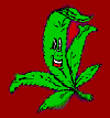 weed2.gif (3728 bytes)